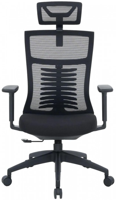 OfficePro Balance OC550