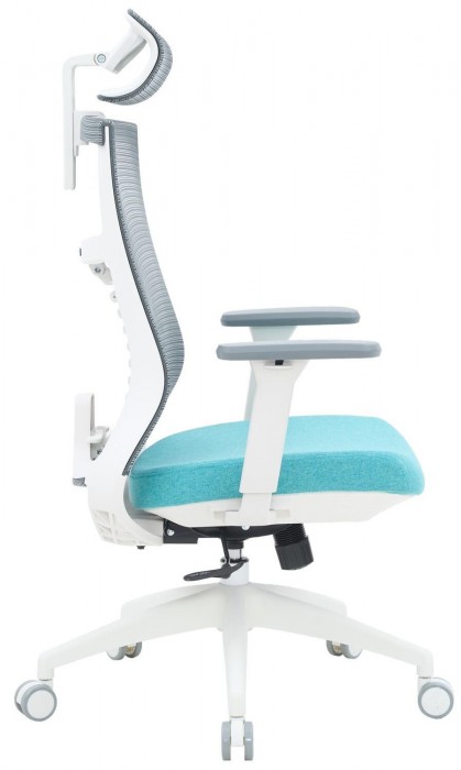 OfficePro Balance OC550
