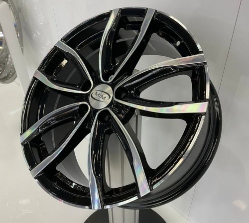 MIM Evo001