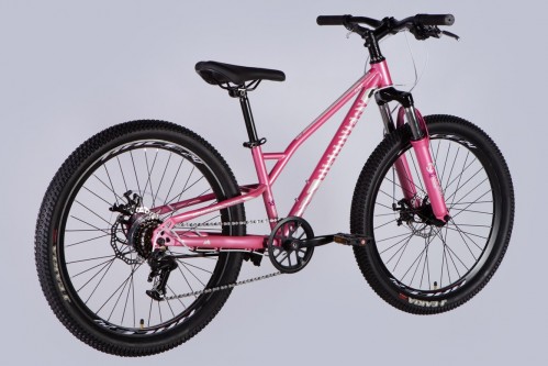 Discovery Flint DD FR 24 2025