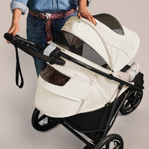 Cybex Avi Spin