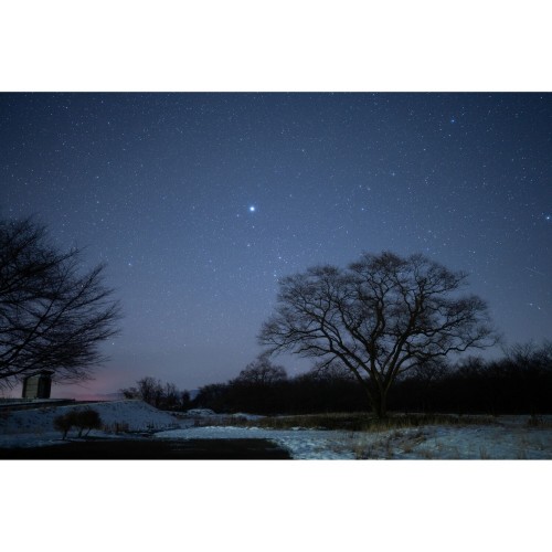 Sigma 35mm f/1.2 Art DG II