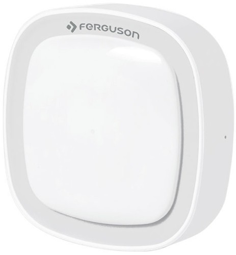 Ferguson SmartHome Security Kit