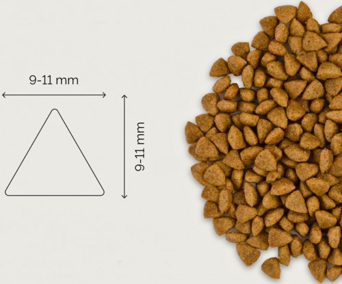 Savory Adult Cat Sterilized Turkey/Duck 400 g