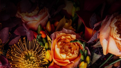 XGIMI Horizon 20 Pro