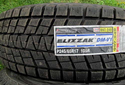 Bridgestone Blizzak DM-V1