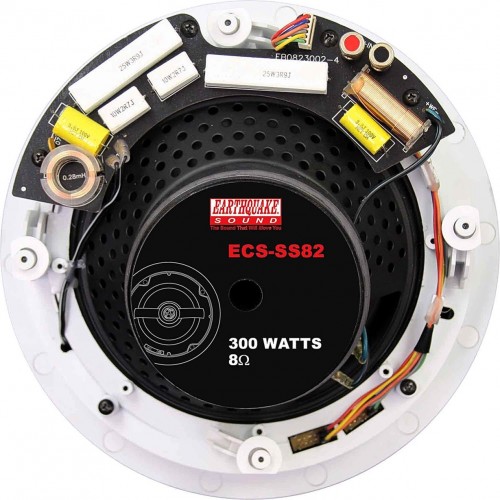 Earthquake ECS-SS-82