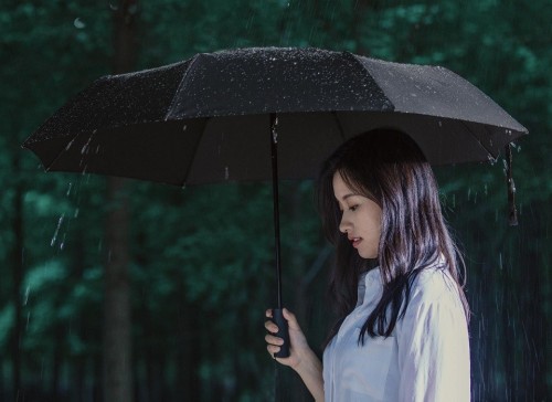 Xiaomi Mijia Automatic Umbrella