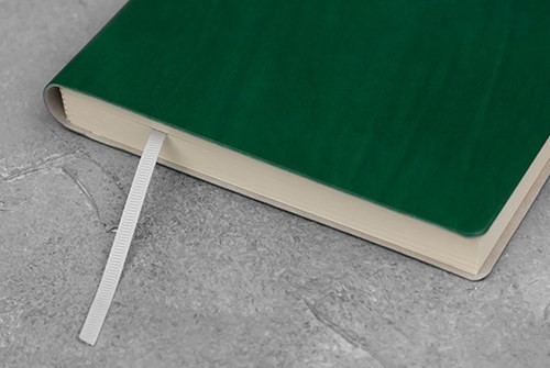 Ciak Plain Notebook large Green