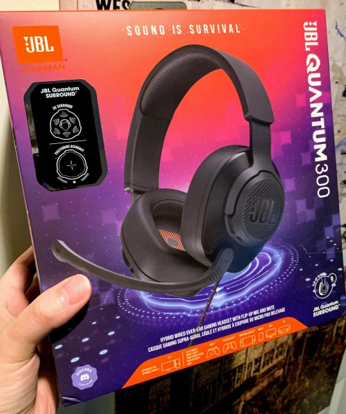 JBL Quantum 300