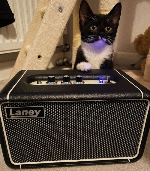 Laney F67