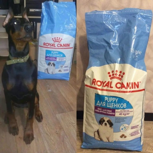 Royal Canin Giant Puppy 1 kg