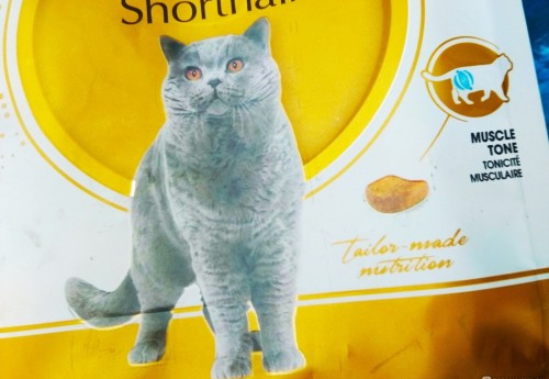 Royal Canin British Shorthair 34 2 kg