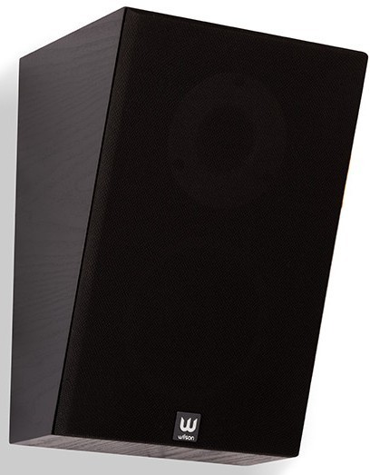 Wilson Raptor X