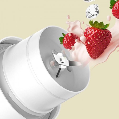 Xiaomi Deerma Insulation Juice Cup