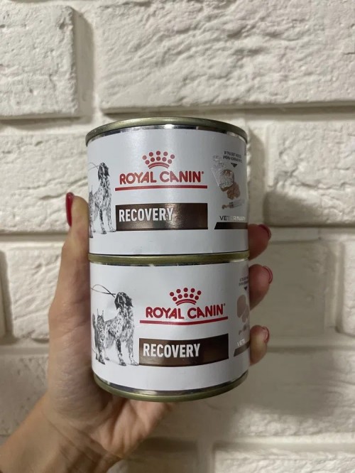 Royal Canin Recovery 2.34 kg