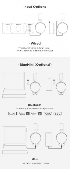 HiFiMan HE-R10P