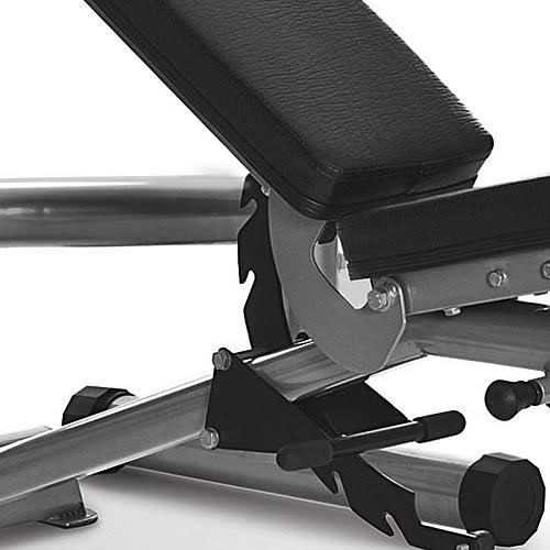 Horizon Adonis Bench