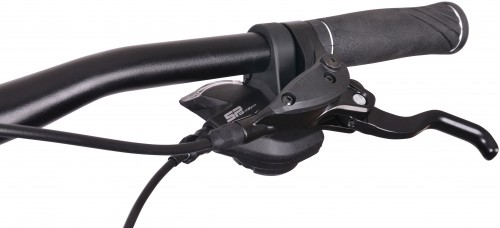 MBM Maxilux 29 2022