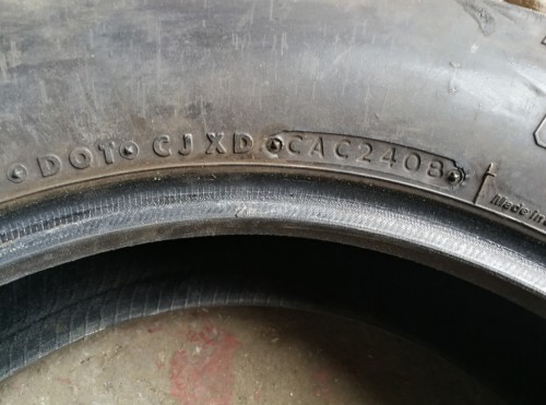 Bridgestone Exedra G546