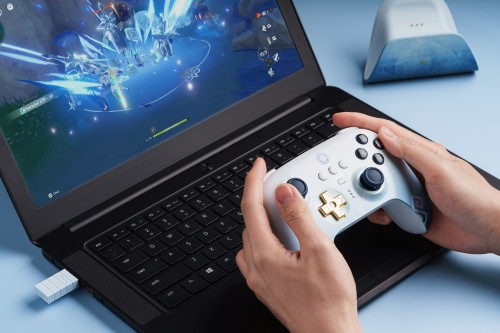 8BitDo Ultimate 2.4G Wireless Controller - Chongyun
