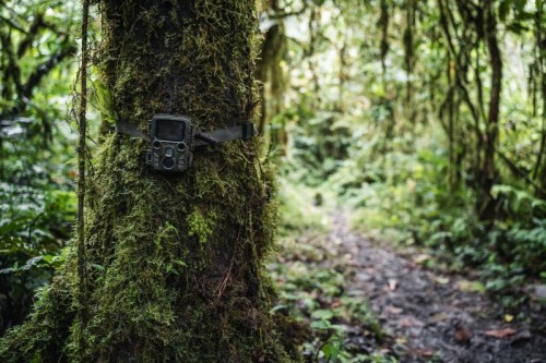 Braun Scouting Cam 800 Mini