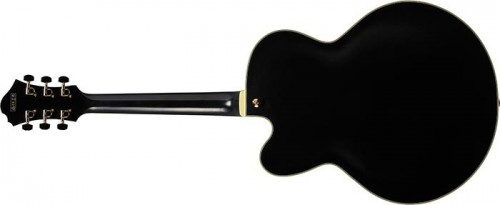 Ibanez PM3C