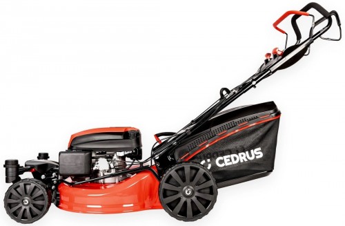 Cedrus KS51S-ZT