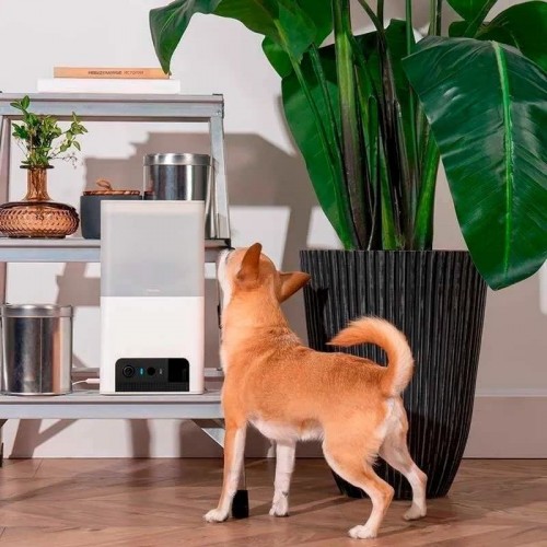 Petcube Bites 2 Lite