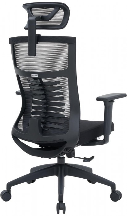 OfficePro Balance OC550