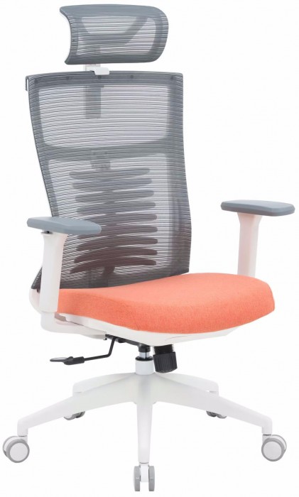 OfficePro Balance OC550
