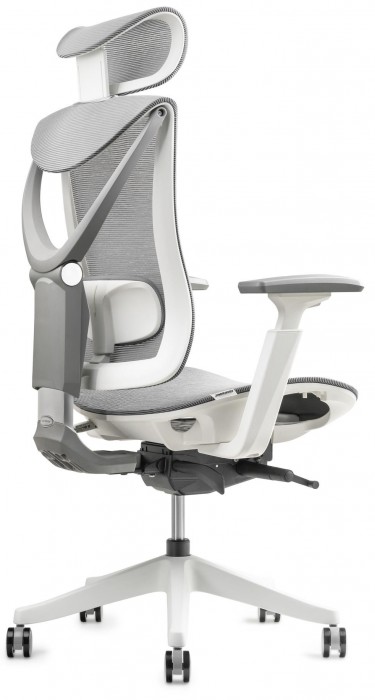 ADAPWORK S1 Mesh Senior ErgoChair