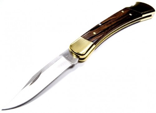 BUCK 110 Folding Hunter