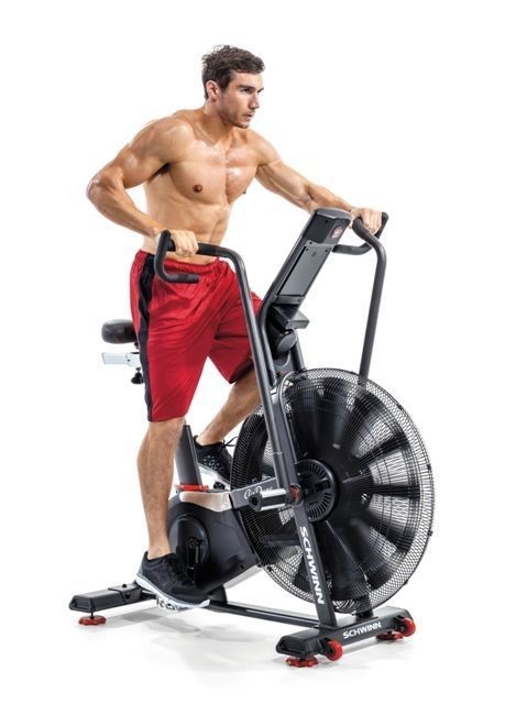 Schwinn Airdyne AD8