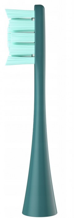 Xiaomi Oclean PW05