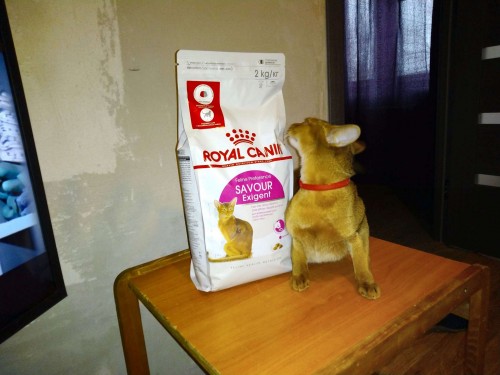 Royal Canin Savour Exigent 4 kg