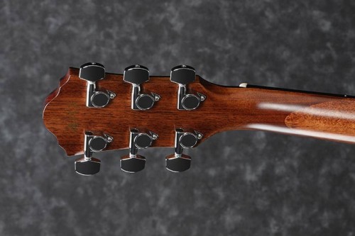 Ibanez AEG200