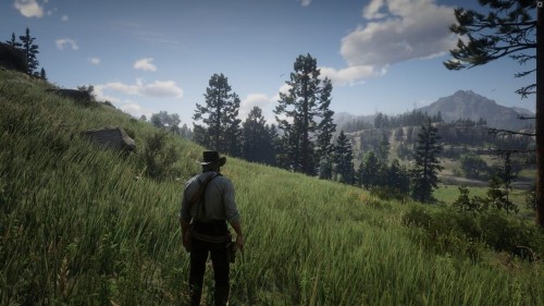 Red Dead Redemption 2