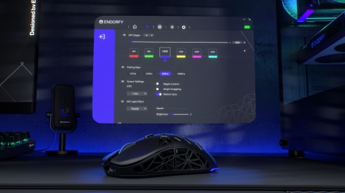 Endorfy LIV Wireless