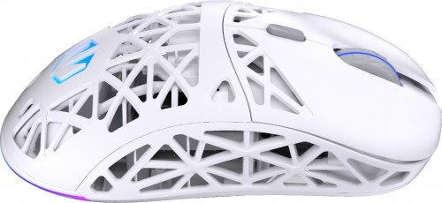 Endorfy LIV Wireless