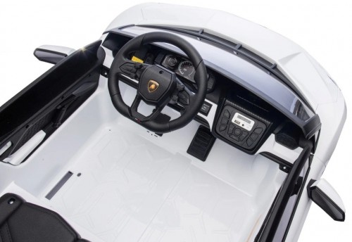 Ramiz Lamborghini Revuelto XL
