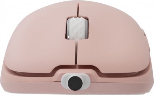 White Shark Graphene