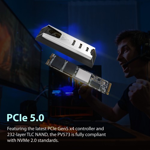 Patriot Memory PV573P2TBM28H