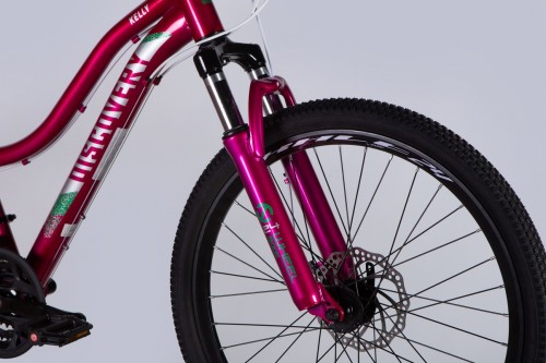 Discovery Kelly DD FR 24 2025