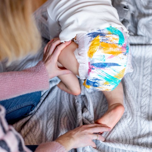 Kolorky Day Brushes ECO L