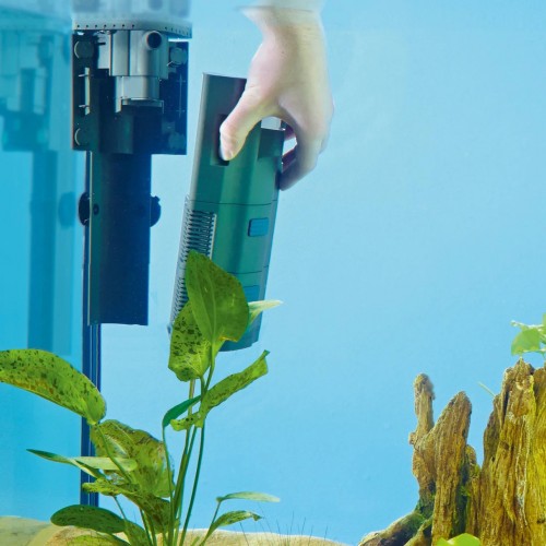 Oase BioPlus Thermo 100