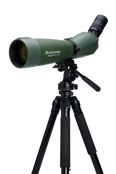Celestron Regal M2 80 ED
