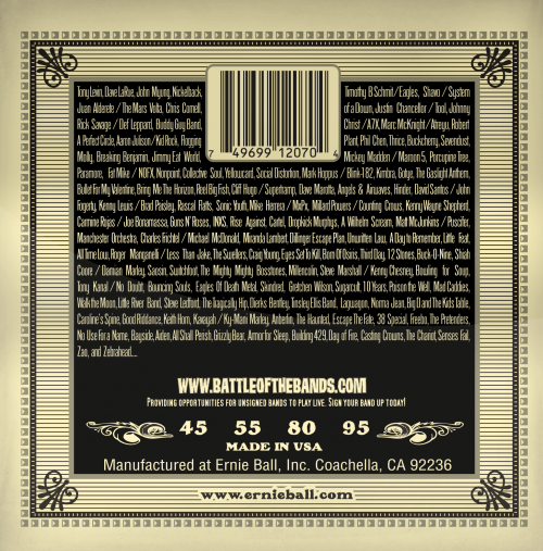 Ernie Ball Eartwood Phosphor Bronze 45-95