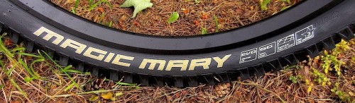 Schwalbe Magic Mary BikePark