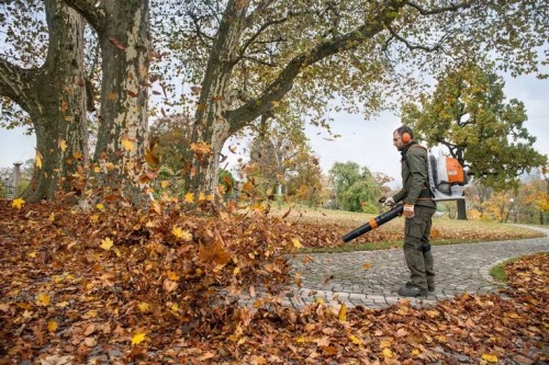 STIHL BR 800